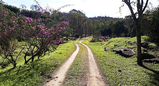 Newsletter Notícias do Parque 20240206 Funcionamento no Carnaval