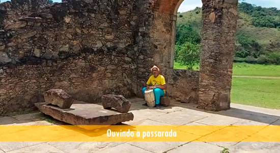 Newsletter Celebre Conosco 20241105 Dobradinha Cultura & Ciência - ARTISTAS DO PARQUE