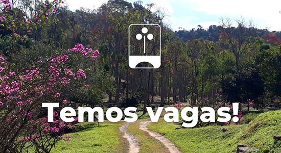 Newsletter Notícias do Parque 20241223 Venha fazer parte da equipe do Parque! - TEMOS VAGAS!