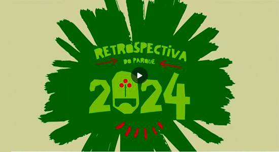 Newsletter Notícias do Parque 20241227 Confira a nossa retrospectiva 2024!