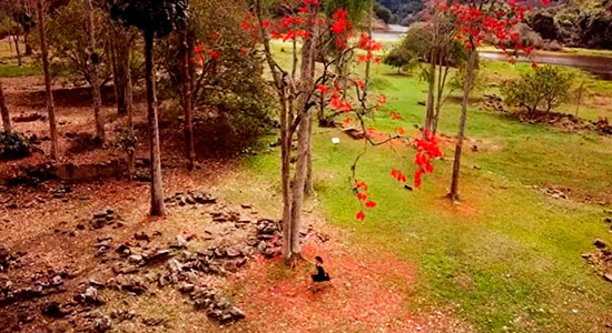 Newsletter Celebre Conosco 20250907 Viva a Independência do Brasil! - CATÁLOGO ARTE E NATUREZA