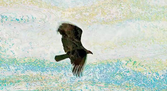 Newsletter Notícias do Parque 20251117 Participe do Festival Sons e Sabores Afromarcossenses! - FESTIVAL SONS E SABORES AFROMARCOSSENSES