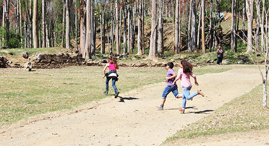 Newsletter Celebre Conosco 20251221 Dia das cruzadinhas - AH, O VERÃO!