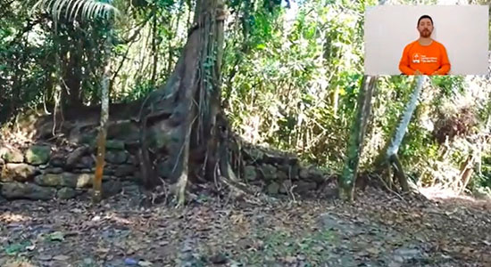 Newsletter Celebre Conosco 20260301 Três datas com o propósito de cuidar - TOUR TURISMO VIRTUAL 1