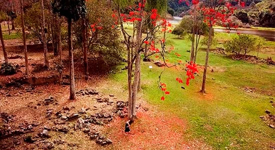 Newsletter Celebre Conosco 20260907 Sabe a relação do Grito do Ipiranga com São João Marcos? - CATÁLOGO ARTE E NATUREZA